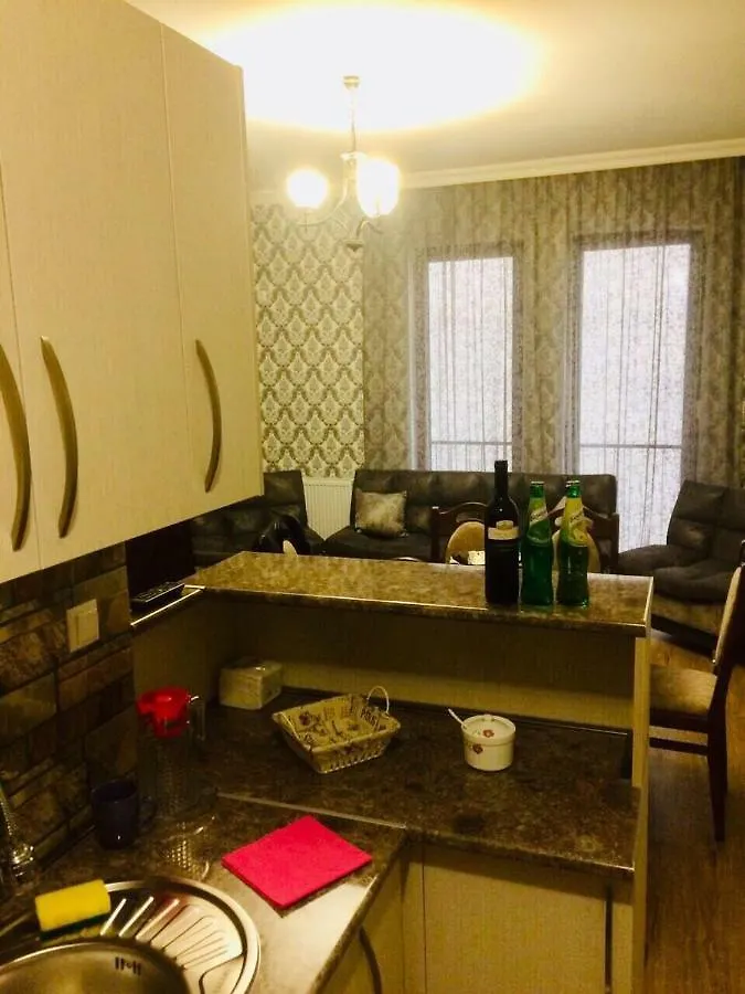 Apartment On Marjanishvili 16 Tiflis